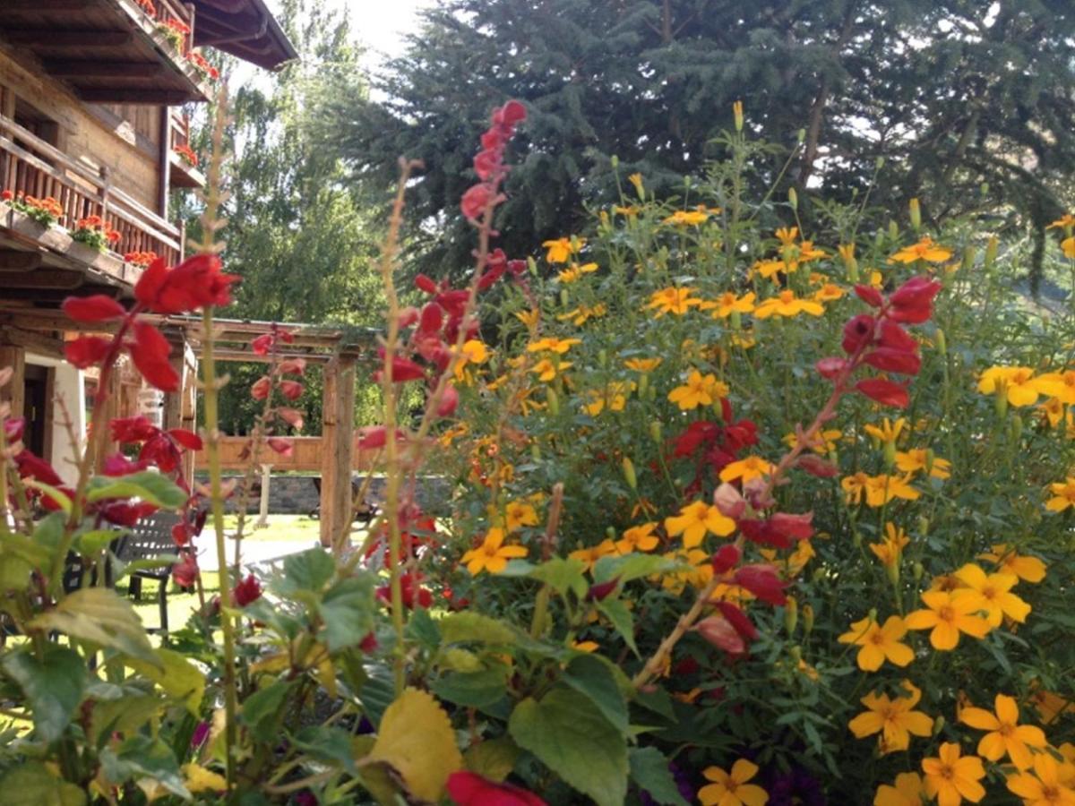 Relais Du Chateau Blanc Ла-Тюйль Экстерьер фото